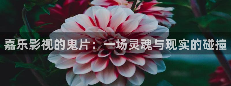神马天堂电影网