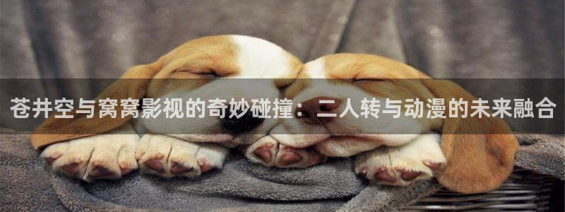 国产天堂av电影