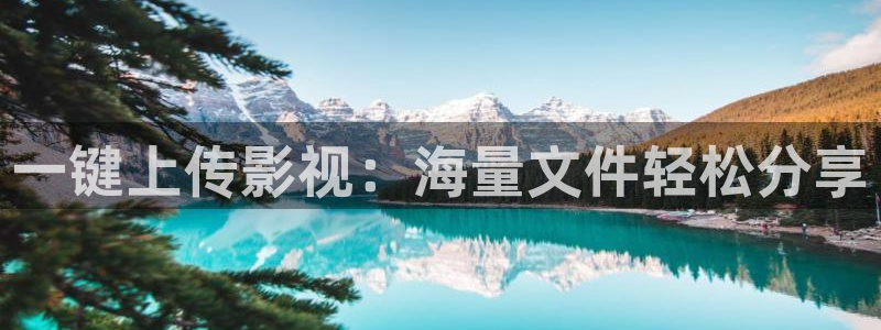老无所依电影天堂